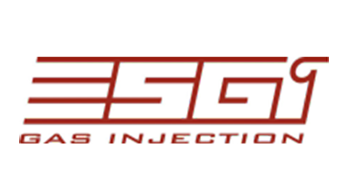 Logo ESGI